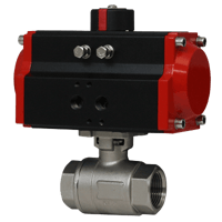 Dwyer 2-Piece NPT Stainless Steel Ball Valve, Series WE01